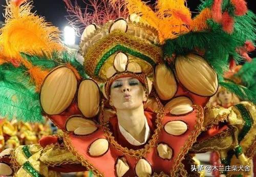 巴西狂欢节禁止使用水枪,巴西狂欢节到底有多么疯狂
