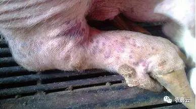 姣嶇尓浜у悗鐦棯濡備綍澶勭悊,姣嶇尓浜у悗鐦棯濡備綍娌荤枟