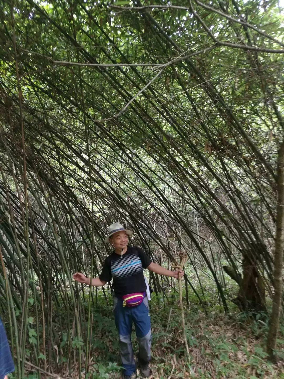 西漂湾瀑布群,建始西漂湾瀑布群