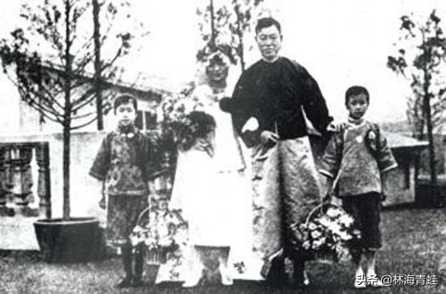 袁昌英的资料,袁昌英简介