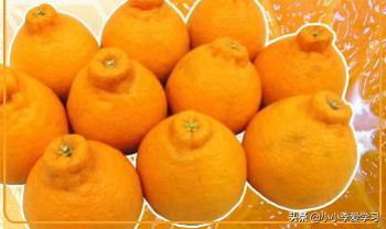 日本食品的警示,日本食品禁令