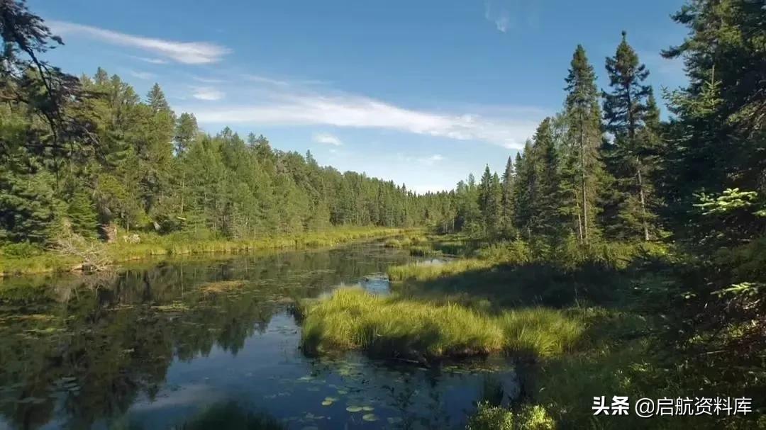 bbc纪录片life鸟类,bbc纪录片生命life7集