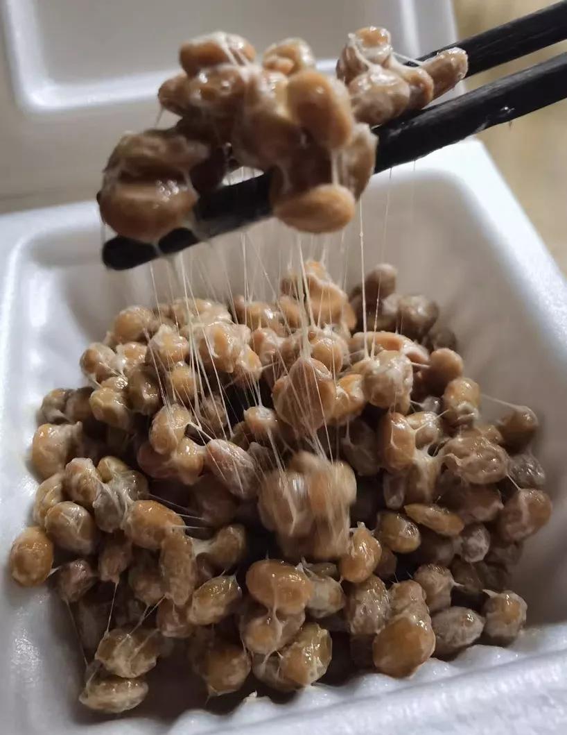 世界臭的美食有哪些,世界怪味食物