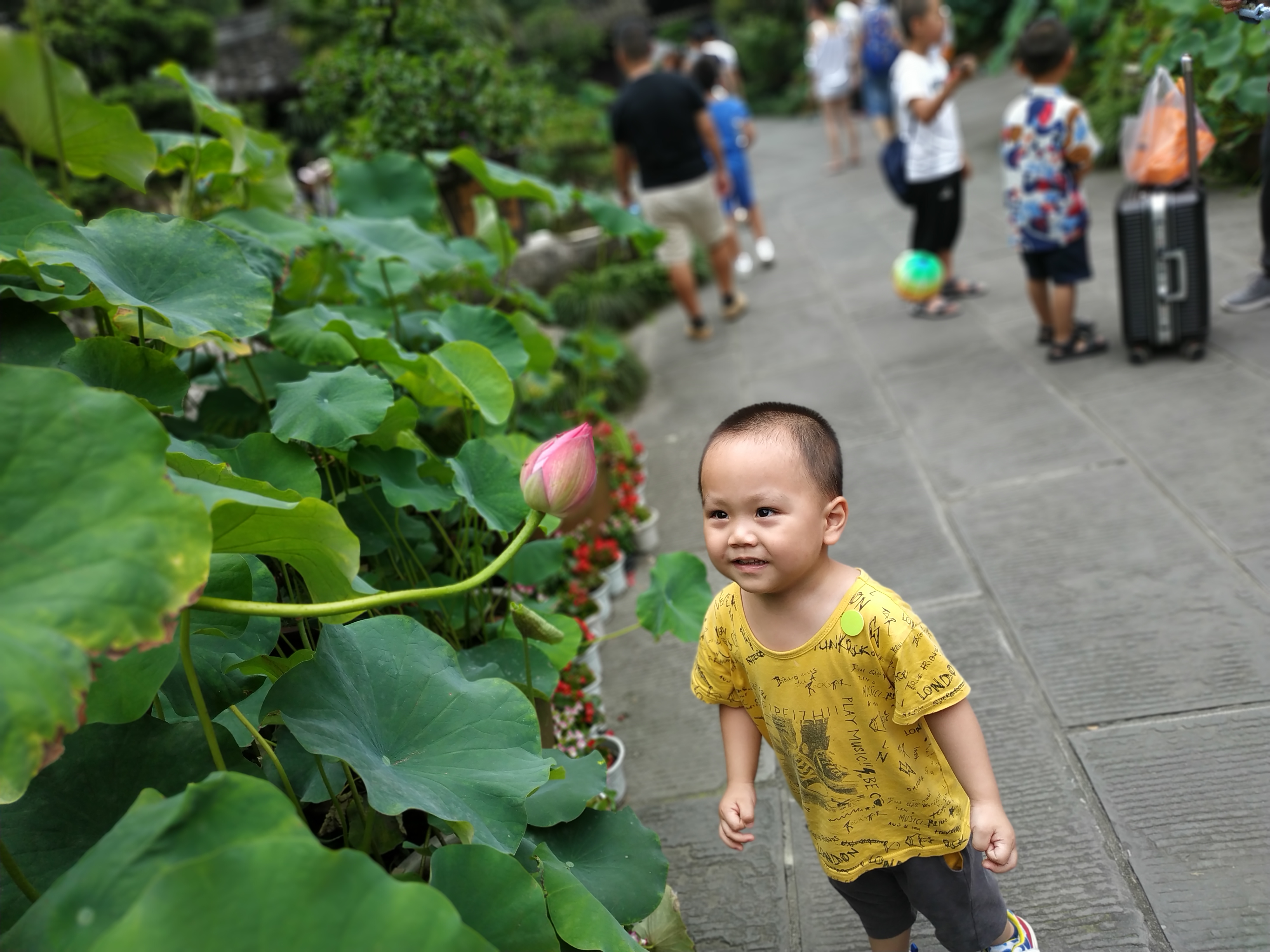 小红帽和大灰狼的故事完整版原文,小红帽和大灰狼的故事完整版简单