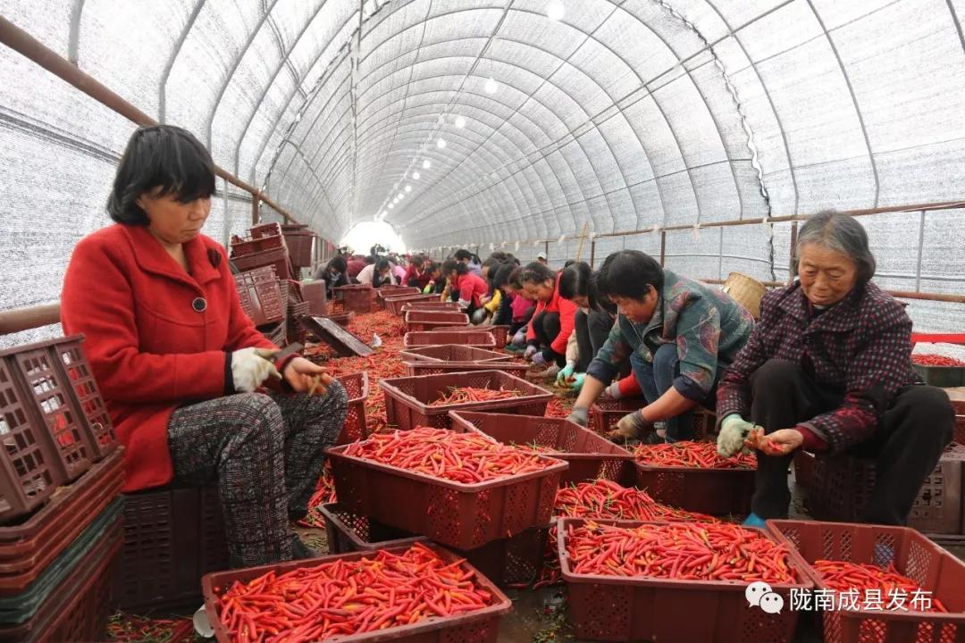 乡镇推动传统产业提档升级,乡镇多举措促进产业转型