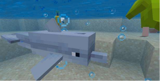 mc老玩家也不知道的冷知识卫道士 (mc冷知识如果遇到太多怪物怎么办)