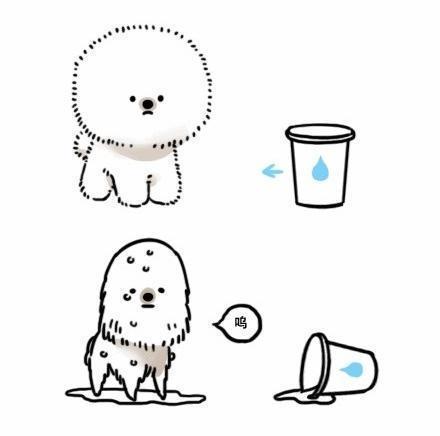 肉比较实的胖子怎么瘦,最近胖的肉怎么减