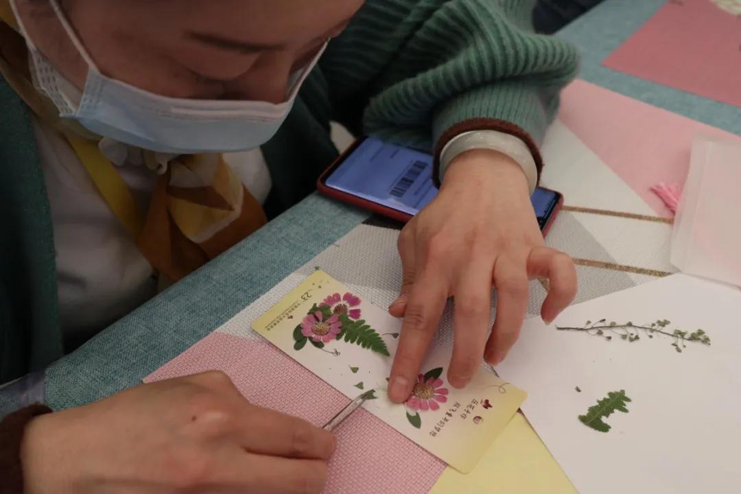 花展的意义,花展布展情况介绍