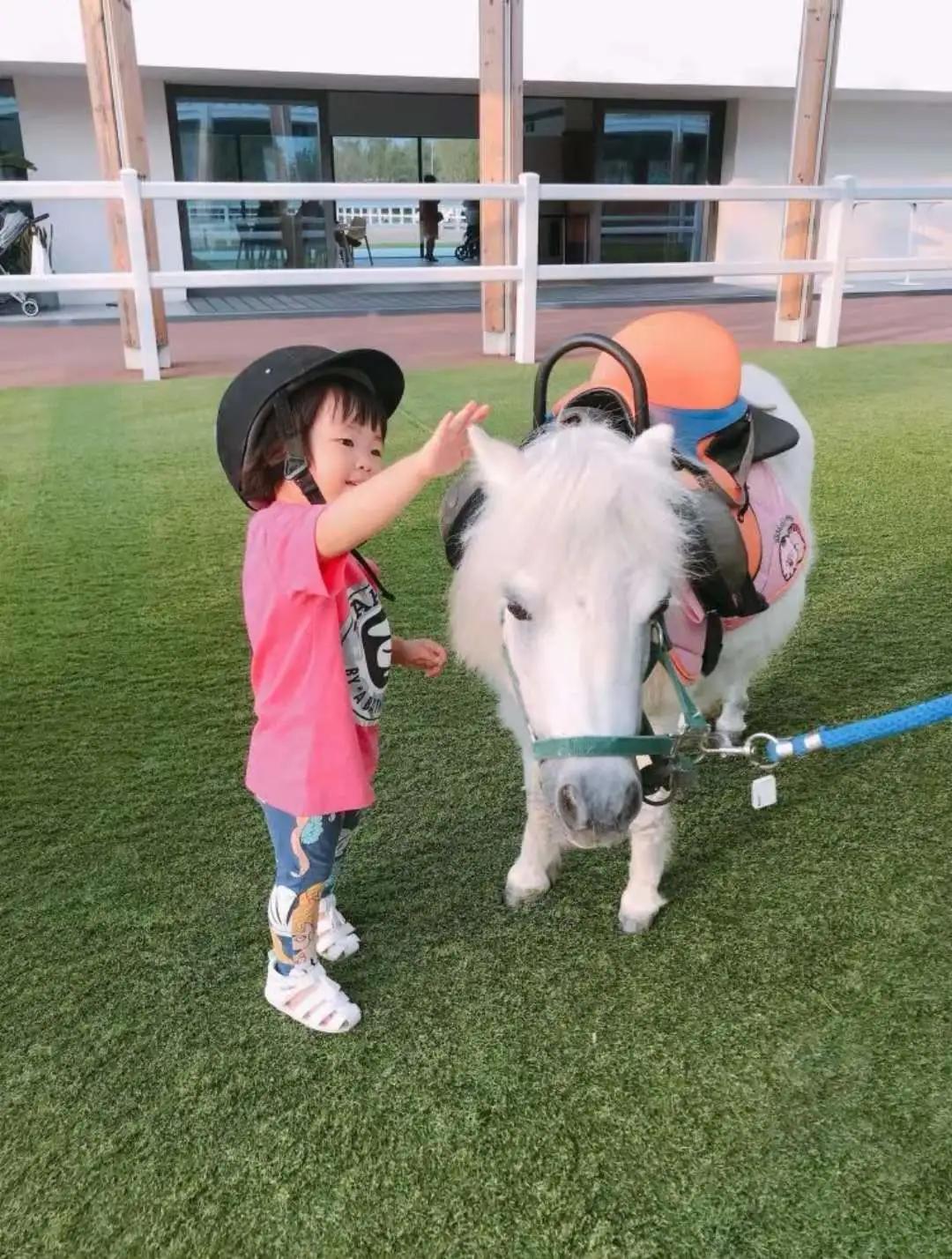 秦皇岛昌黎马术俱乐部,秦皇岛马术训练营