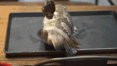 渔家女事件,渔家女海鲜视频