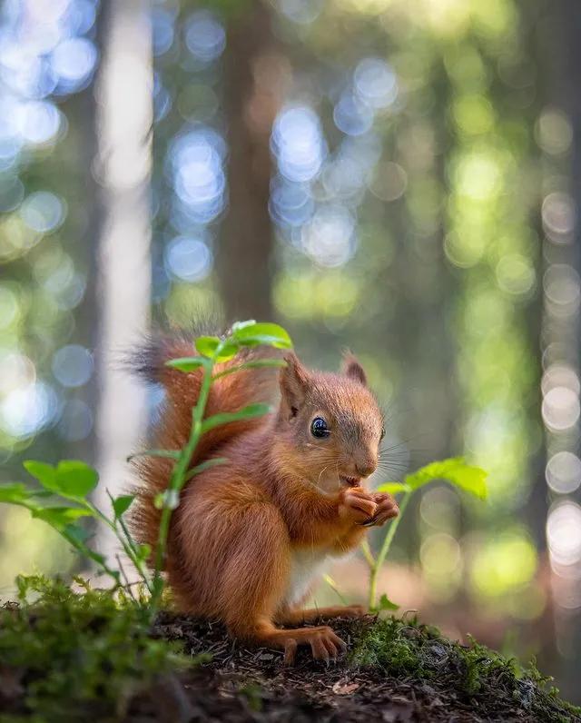 葬礼当天，她成为了四个孩子的“后妈”，网友：这是童话故事吧