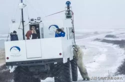 扣鼻屎、车震、随地大小便，你做的这些事全被拍下来了