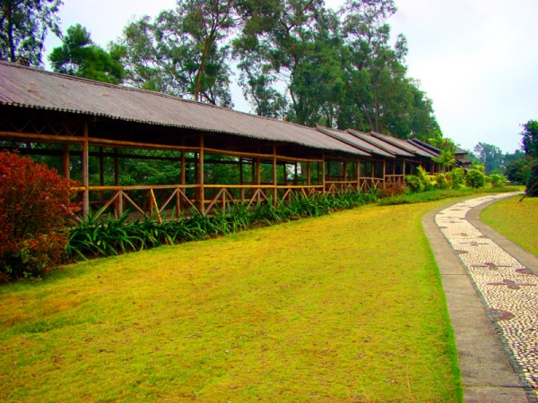 广西南宁旅行介绍,广西南宁西乡塘一日游