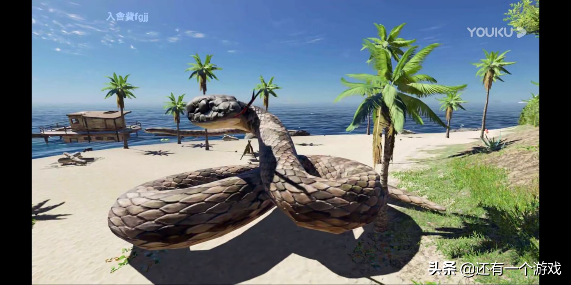 荒岛求生最丰富的资源,荒岛求生小浪是如何逃亡