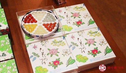 北海道札幌购物的地方,去北海道购物攻略