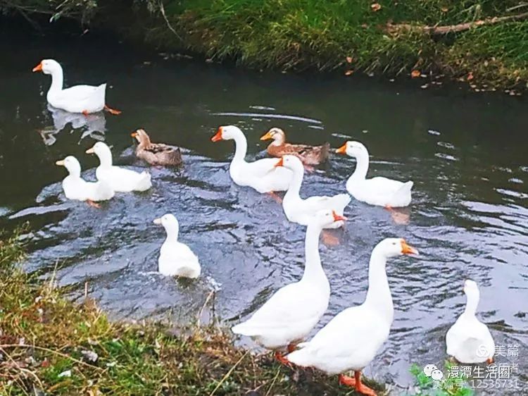 最美大浪山脚下蜂洞冲随州作者:王从伦