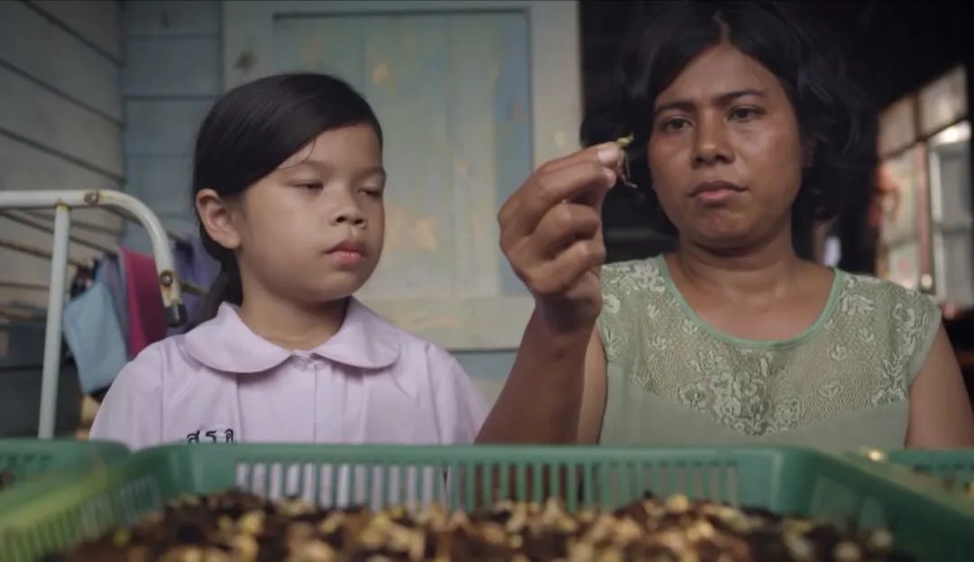 跌倒了要自己爬起来的解释,跌倒要学会爬起来