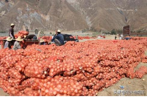价格遭遇腰斩,价格暴跌几乎腰斩