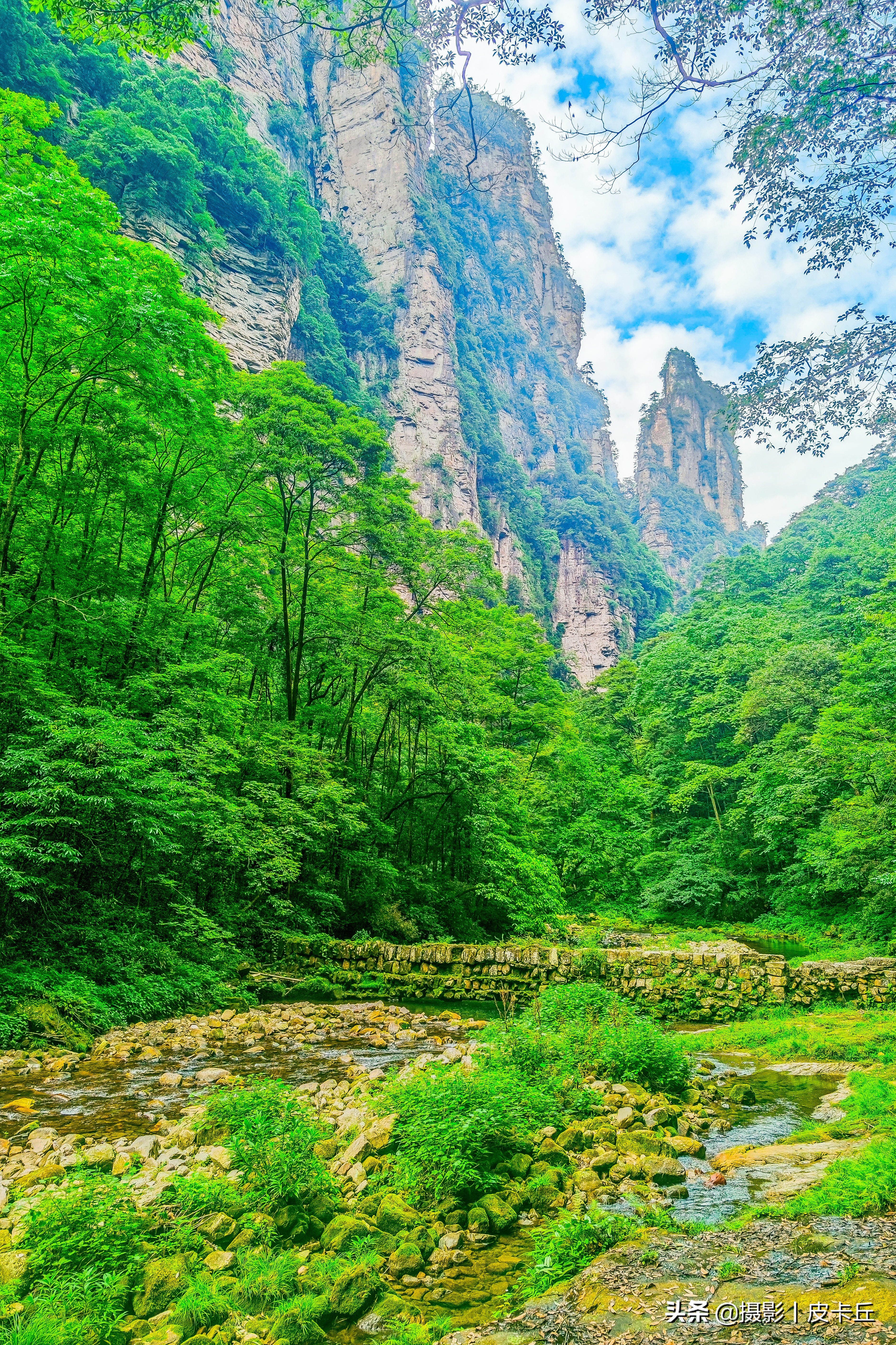 我的相机进水之后，官方授权维修店居然是这样维修的……