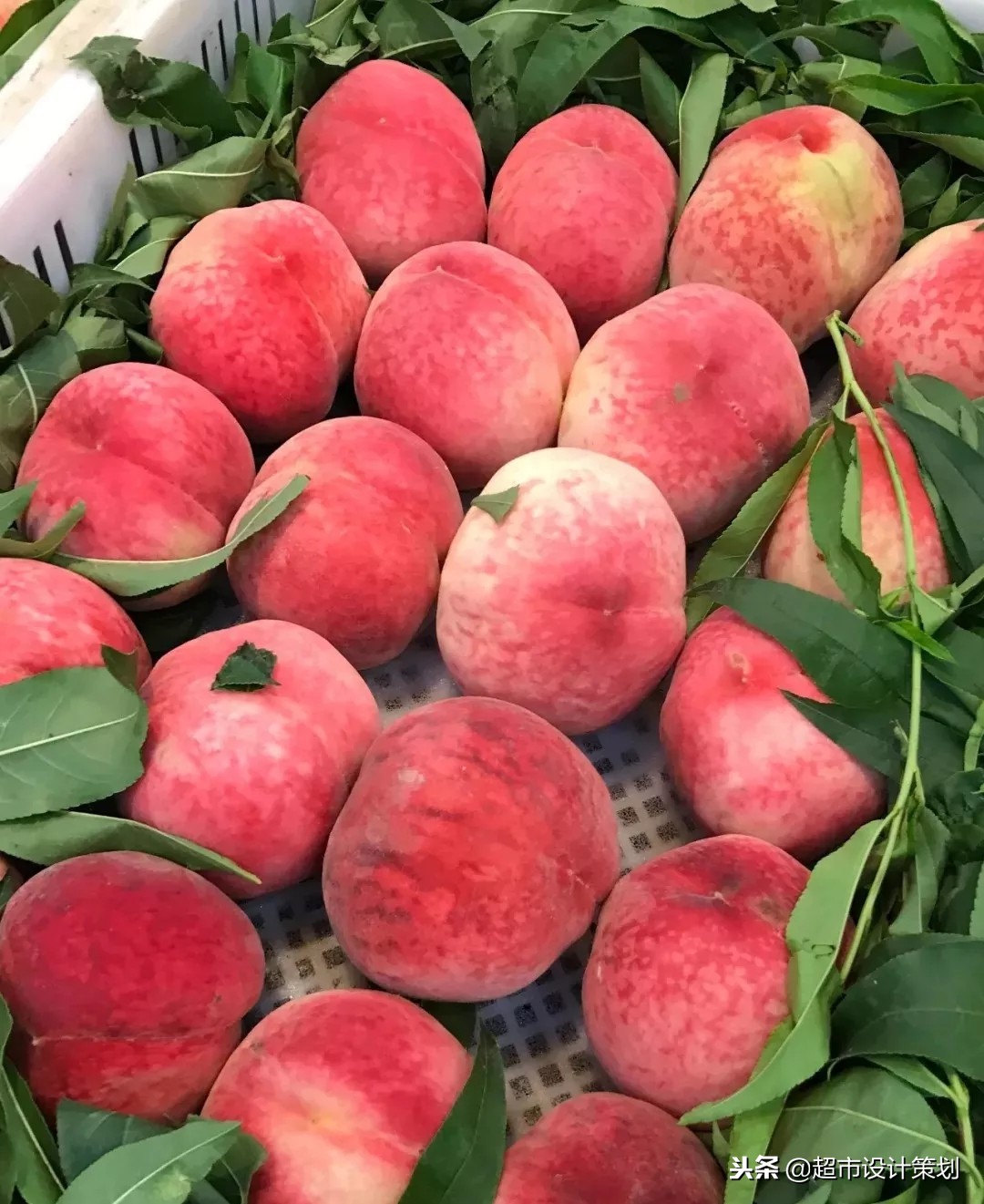 精品超市陈列真实视频,超市果冻创意陈列图片大赛