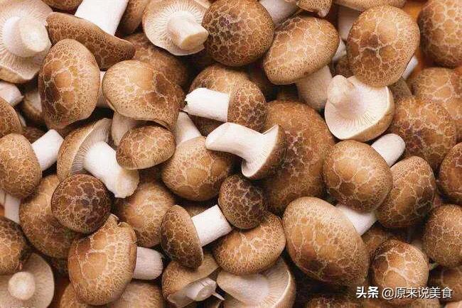 买香菇鲜的,买香菇时怎样选香菇