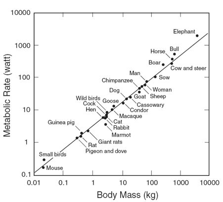 科学家找到6个神奇的数字,科学家找到6个神奇数字