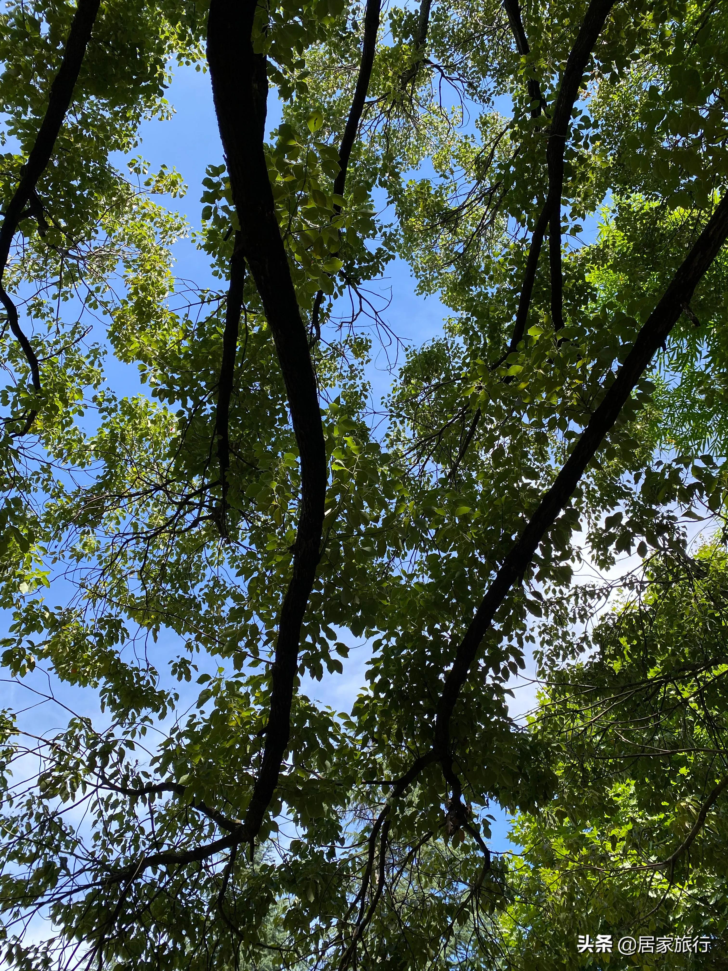 7/10，凌晨夜深码字进行时，时间里的小确幸