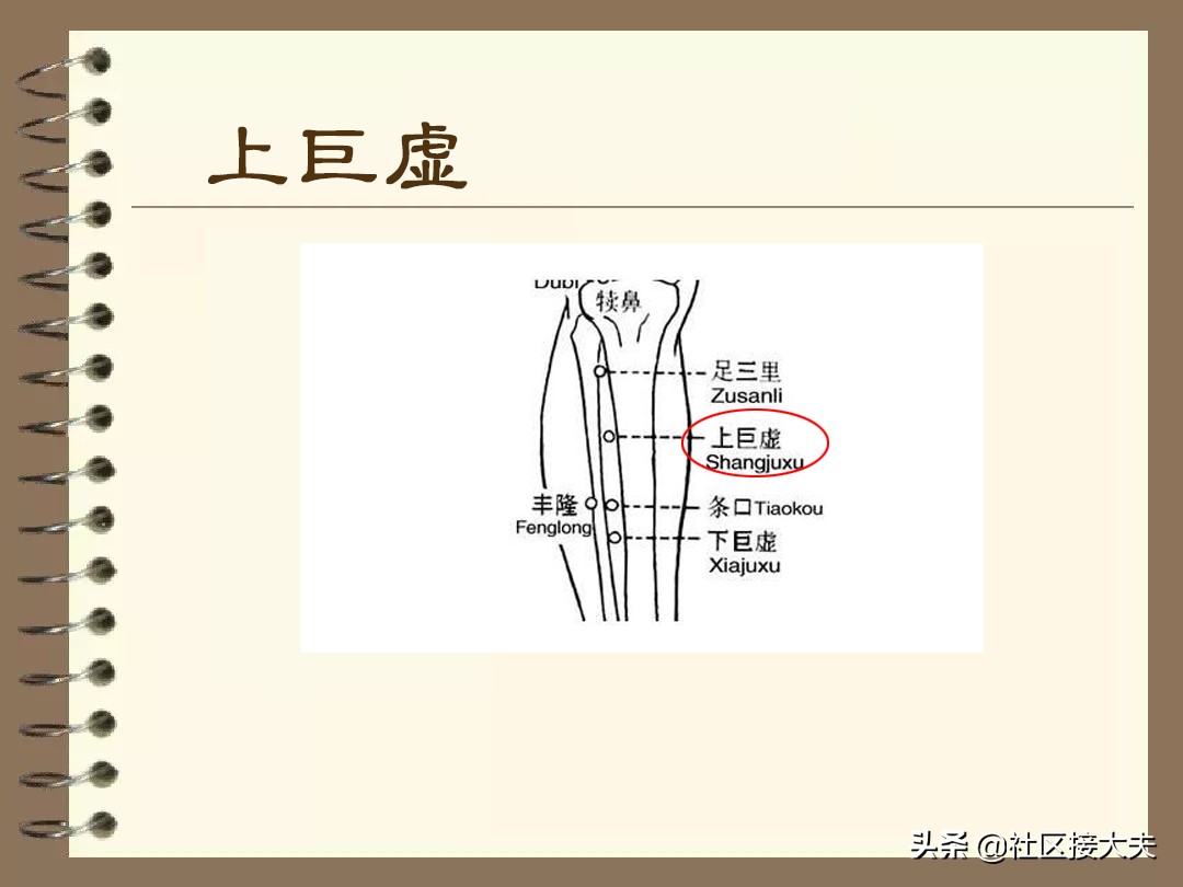 泄泻针灸哪些穴位,常见病针灸穴位