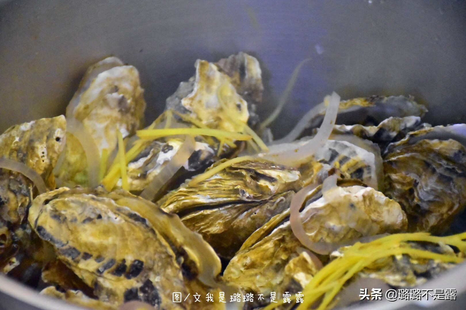 检验鱼最好的方法,怎样鉴别鱼是否是健康的