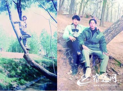 宿迁那些有故事的人和树来听他们背后打动人心的故事