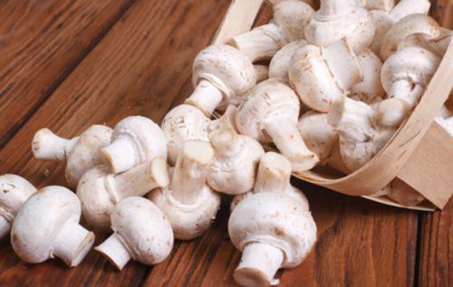 被上帝认为不洁的蘑菇，凭什么能“纵横”于神州大地？