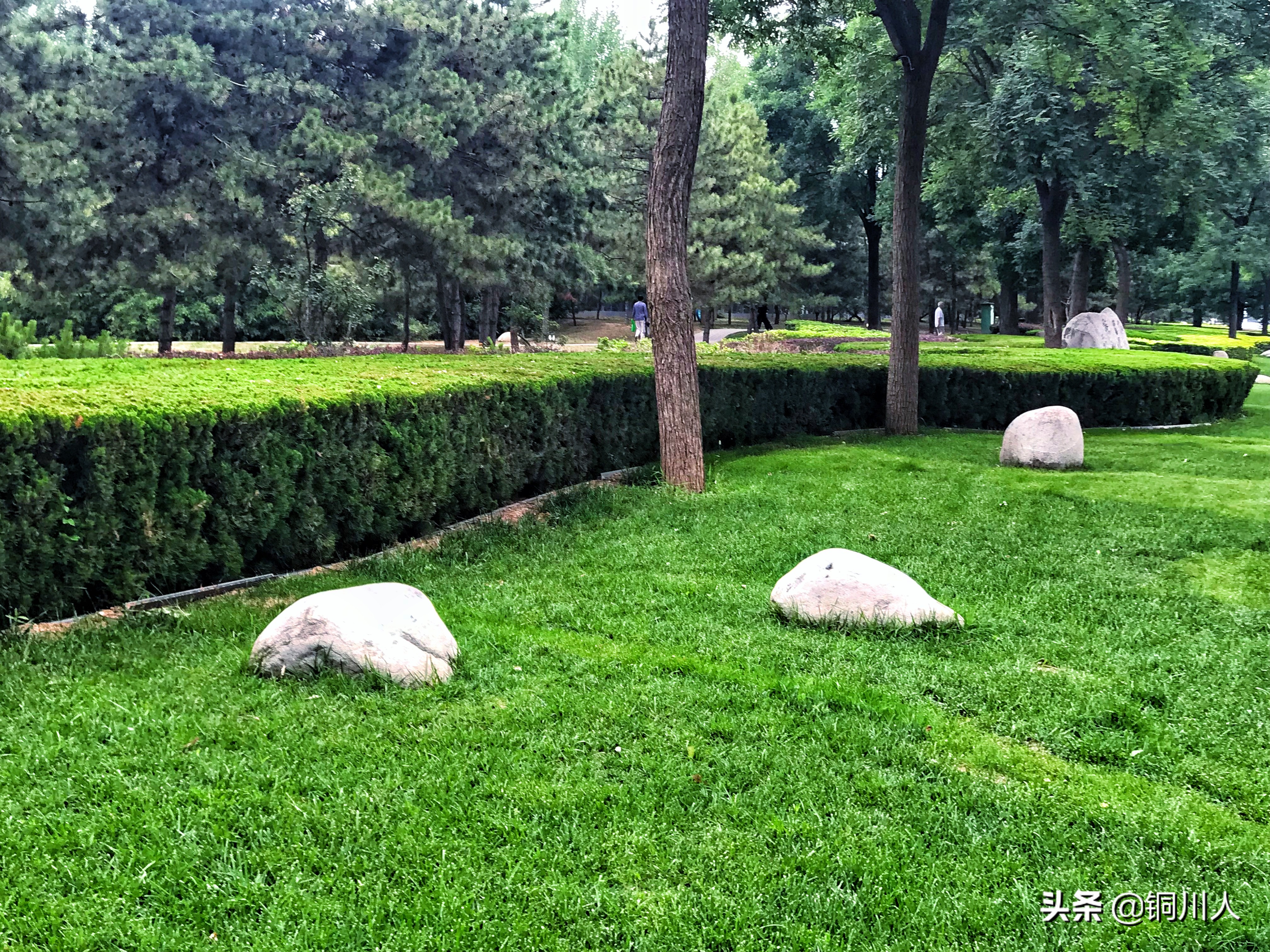 魅力铜川图片,美丽铜川新区