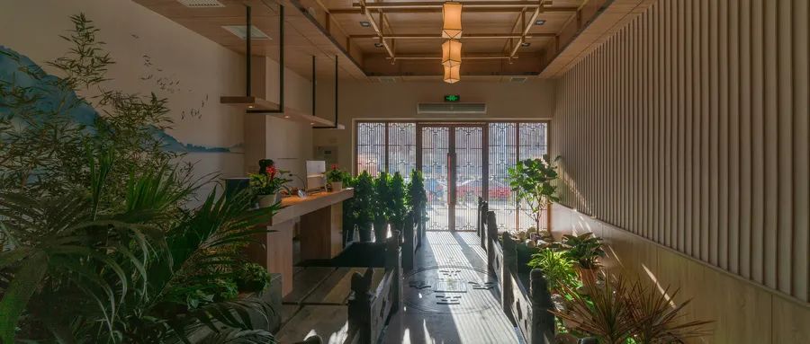 炒菜逆袭,炒菜炒出二十亿营业额