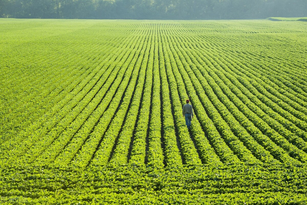 2020潮州市重点项目,2021潮州重大项目