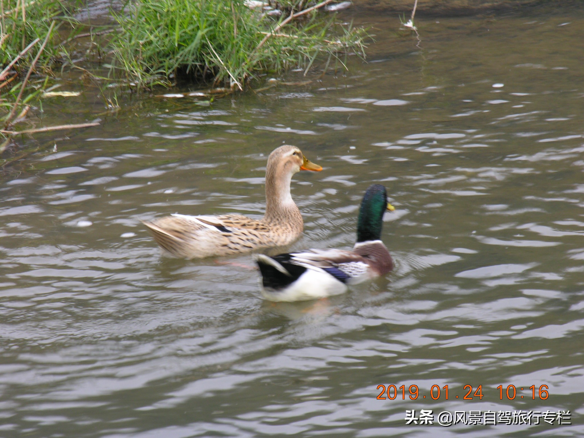 田东棋盘滩景区路好走吗,田东县那拔镇福星村棋盘滩