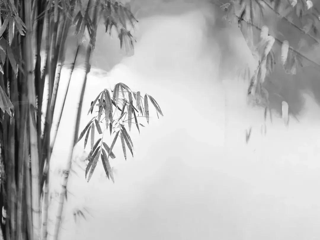 禅意水墨画拍摄技巧,摄影如何拍出水墨画