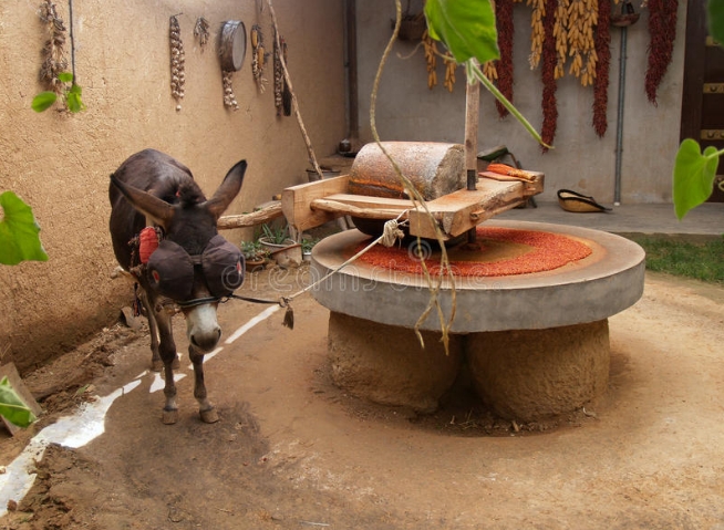 country为什么可以翻译国家和乡下 (country国家和乡村的区别)