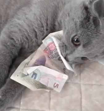 魔幻反转:骗腾讯1624万,伪造老干妈公章,就为几个游戏礼包?