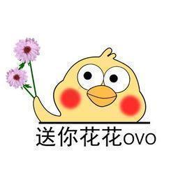 鲜花怎么保养成干花,鲜花变干花如何能保持原色