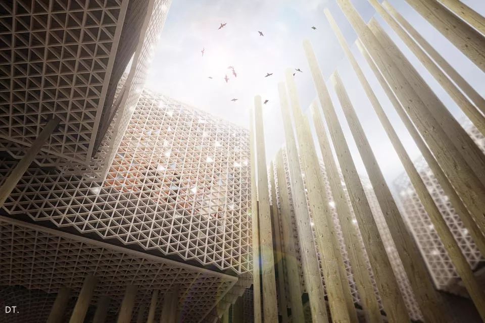 2020迪拜世博会各国展馆“群魔乱舞”！大型综艺「建筑师的夏天」