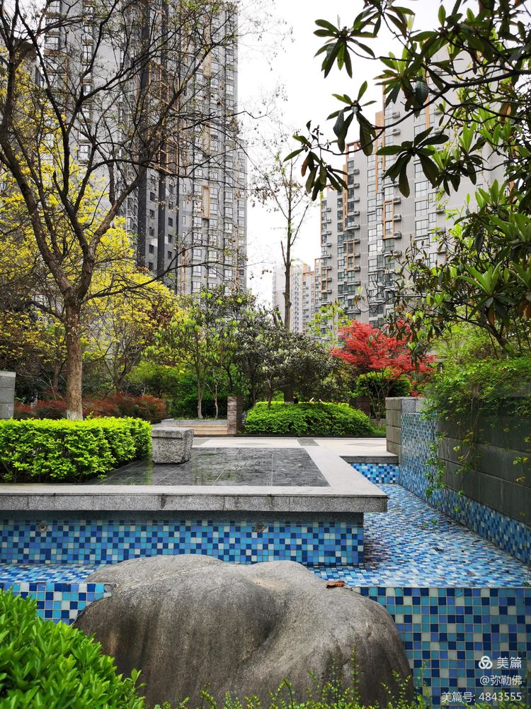 高新枫林华府住房,高新枫林华府小区评测