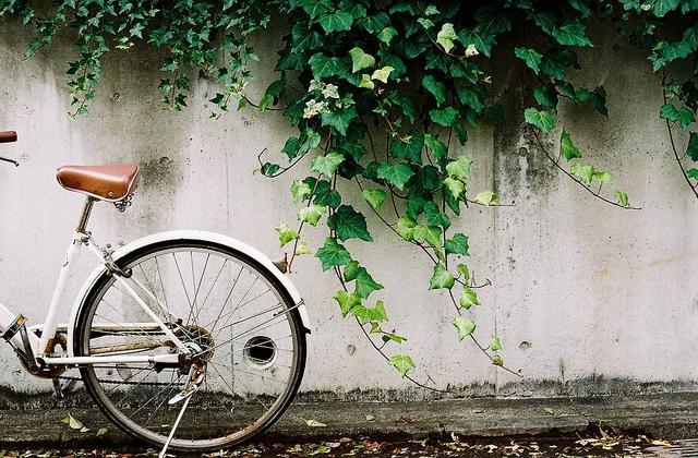 读不懂句子怎么办,古诗读不懂是什么感觉