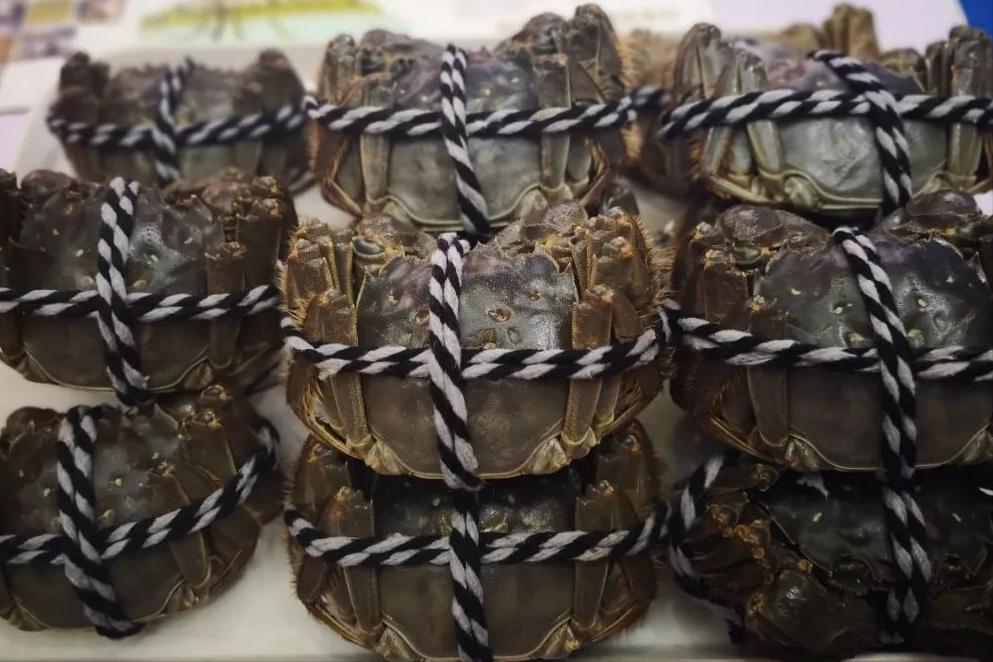 全国哪的大闸蟹最好吃,什么地方的大闸蟹最好吃