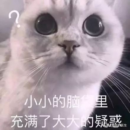 猫咪也会做噩梦吗,猫也会做噩梦吗
