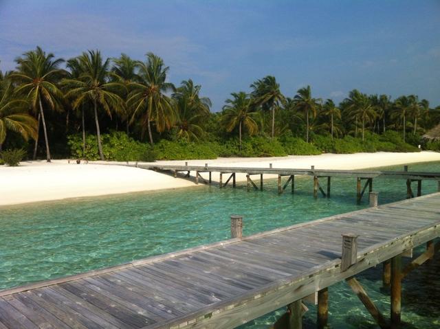 马尔代夫港丽岛攻略,马尔代夫港丽岛价格