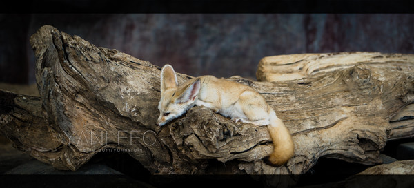 最新玩转泰国攻略,泰国旅游漫游