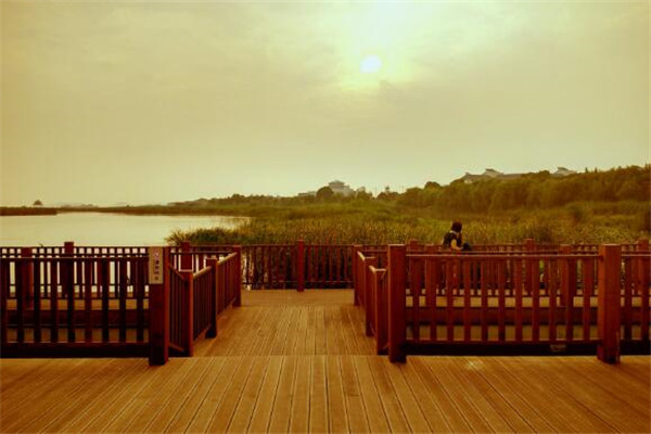 苏州适合晚上游玩的地方排名,苏州有哪些适合晚上去的地方