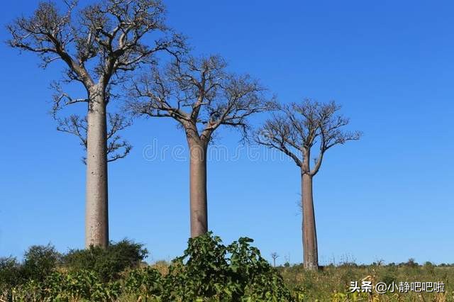 你不知道的国家冷知识玻利维亚篇,你不知道的国家冷知识摩洛哥