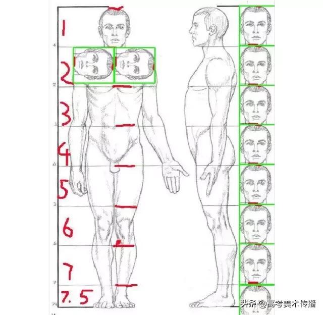 速写五官技法,速写五官的画法精讲