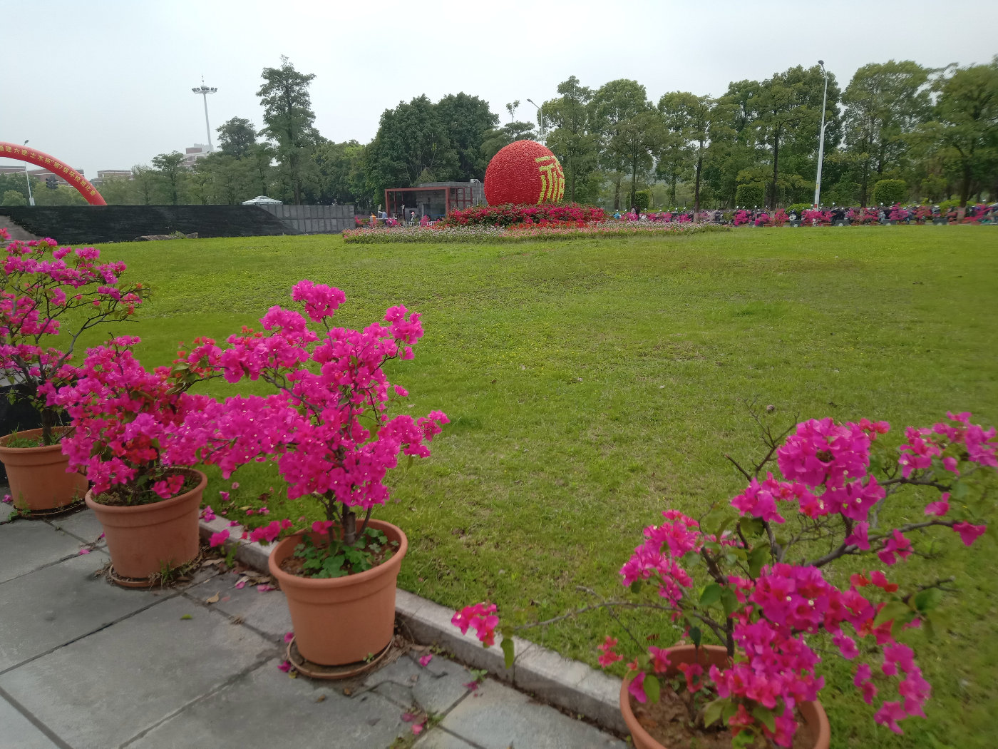 福州大学就像一座大公园，风景美到爆！最美的世界一流学科院校